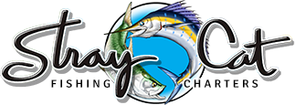 Stray Cat Fishing Charters